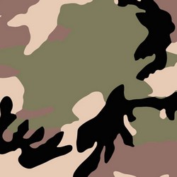 Retro Camo